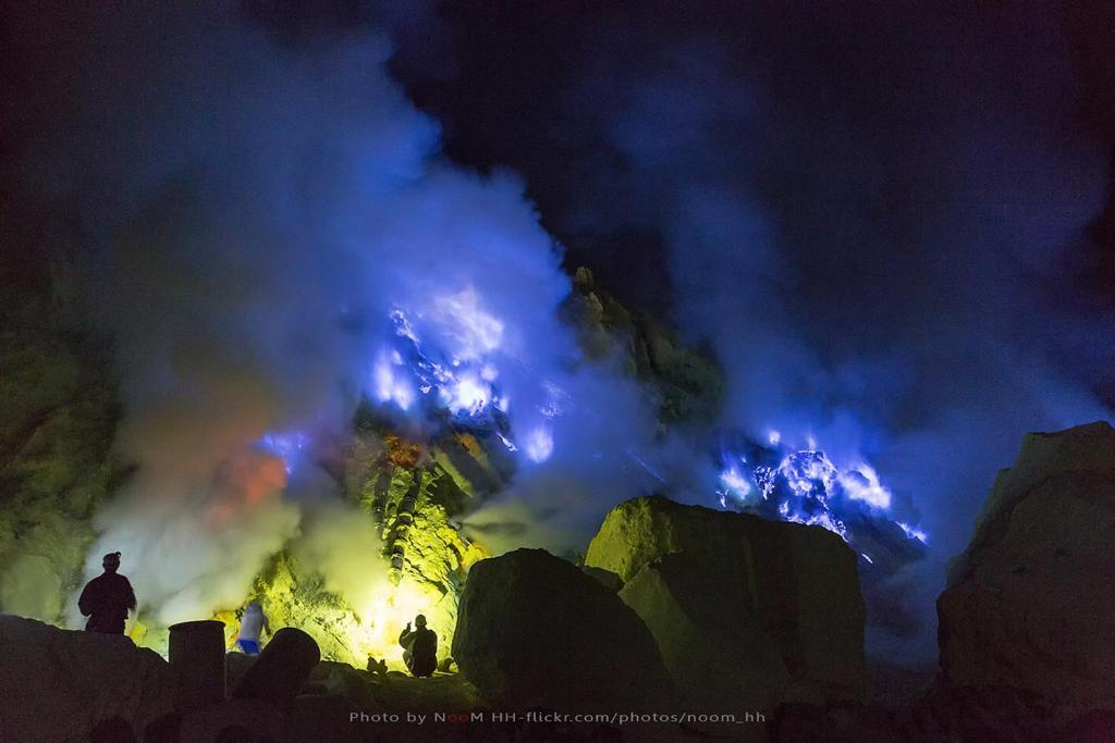 Dannu'S Homestay & Ijen, Bromo, Meru Betiri Sukomade Tours Banyuwangi  Exterior foto