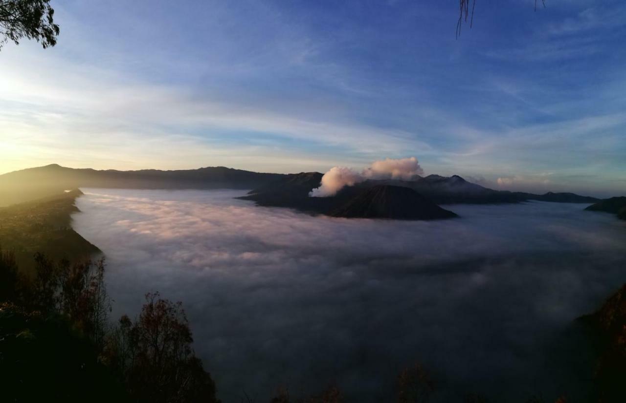 Dannu'S Homestay & Ijen, Bromo, Meru Betiri Sukomade Tours Banyuwangi  Exterior foto